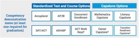 Competency Demonstration Options 